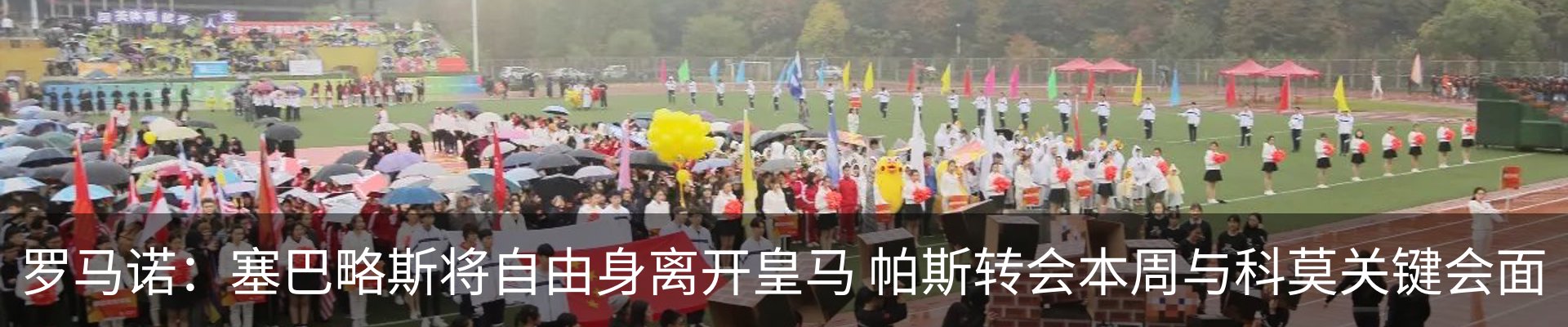 新闻动态
